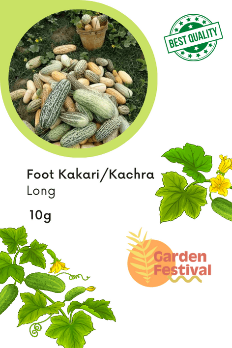 Foot Kachari/Kakri Long Quality Fruit Seeds (Garden Festival) - Farmers Stop