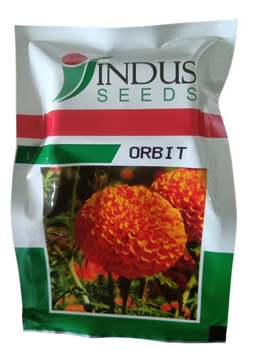 Orbit F1 Hybrid Yellow Marigold (Indus Seeds)