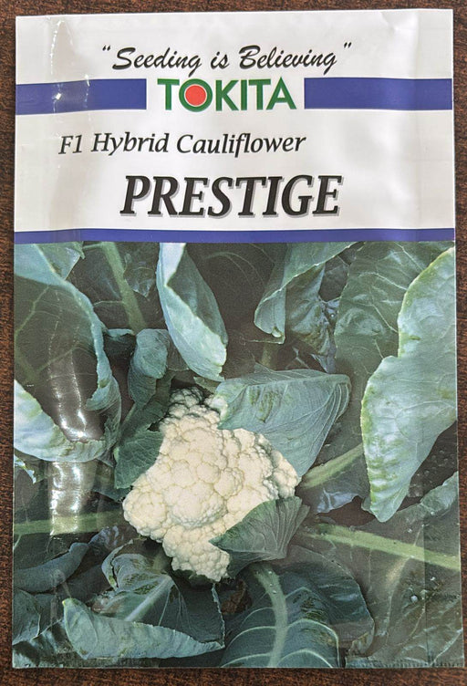 PRESTIGE F1 Hybrid Cauliflower (Tokita Seeds) - Farmers Stop