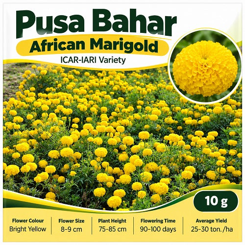 Pusa Bahar African Marigold Seeds | ICAR-IARI Variety — Farmers Stop
