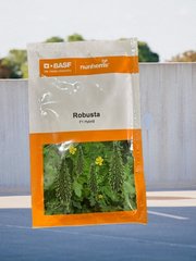 ROBUSTA F1 Hybrid Bittergourd (Nunhems) - Farmers Stop