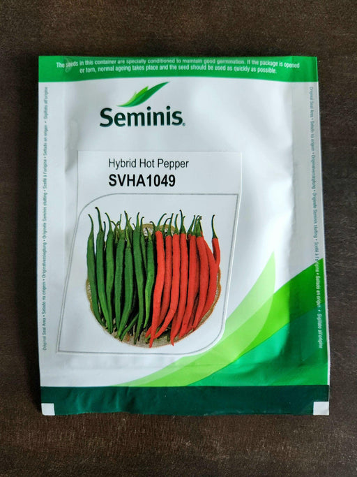 SVHA 1049 Hot pepper/हरी मिर्च (Seminis) - Farmers Stop
