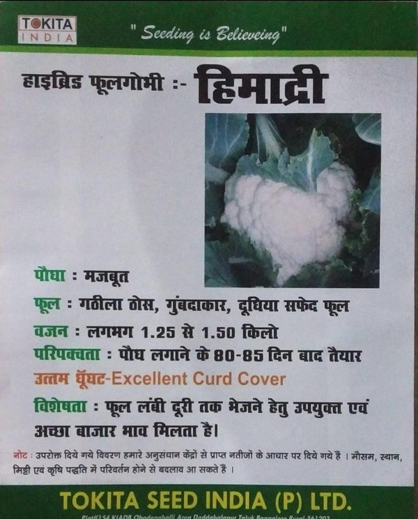 Himadri F1 Cauliflower (Tokita Seeds) - Farmers Stop