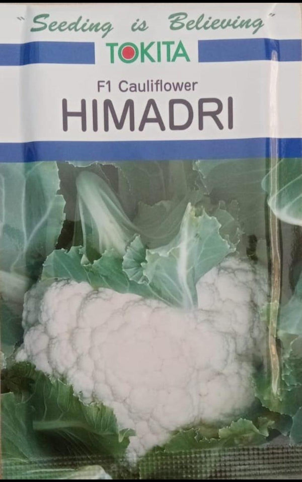 Himadri F1 Cauliflower (Tokita Seeds) - Farmers Stop