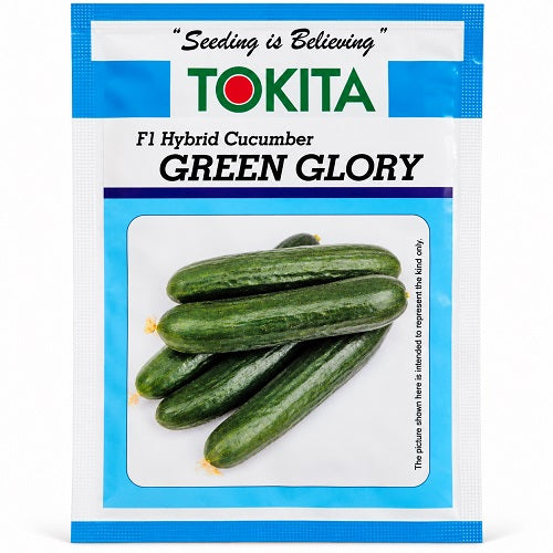 Green Glory F1 Hybrid Cucumber Seeds – Multi-Fruit Parthenocarpic | Tokita Seeds