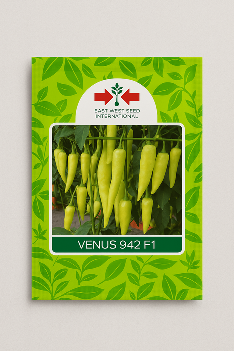 Venus 942  F1 Chilli (East West Seeds)