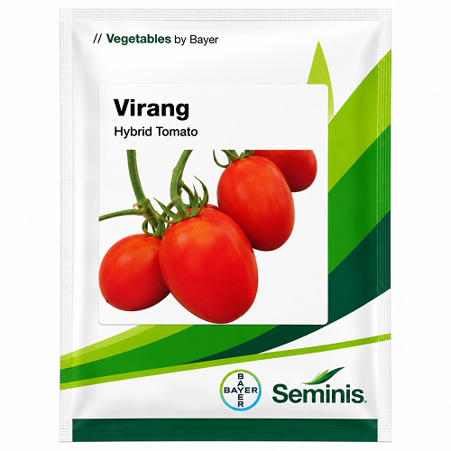 Seminis Virang Tomato Seeds Bayer tomato seeds pack