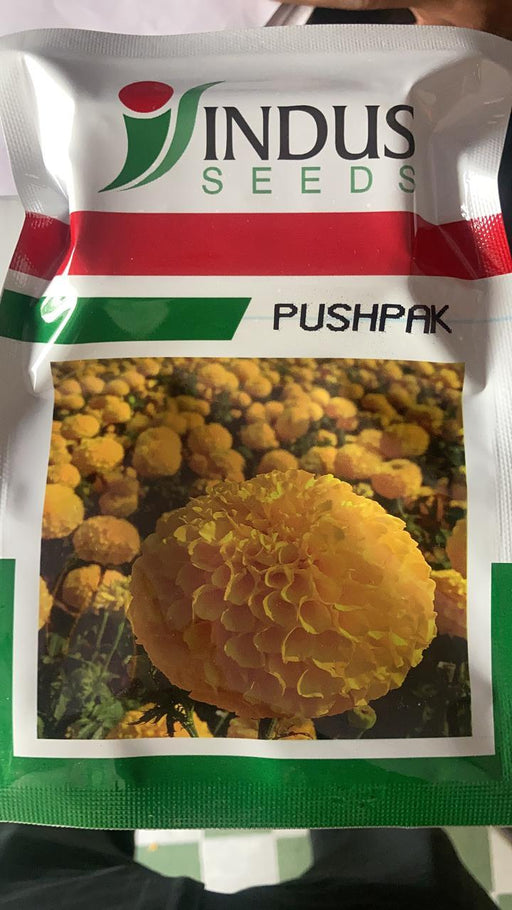 Pushpak F1 Yellow Marigold (Indus Seeds) - Farmers Stop