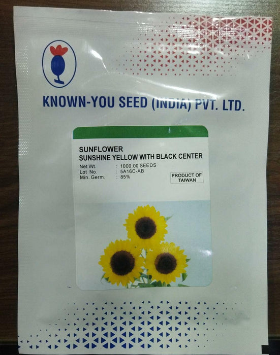 Ornamental Sunflower Sunshine F1 Hybrid (Known You Seeds, Taiwan)