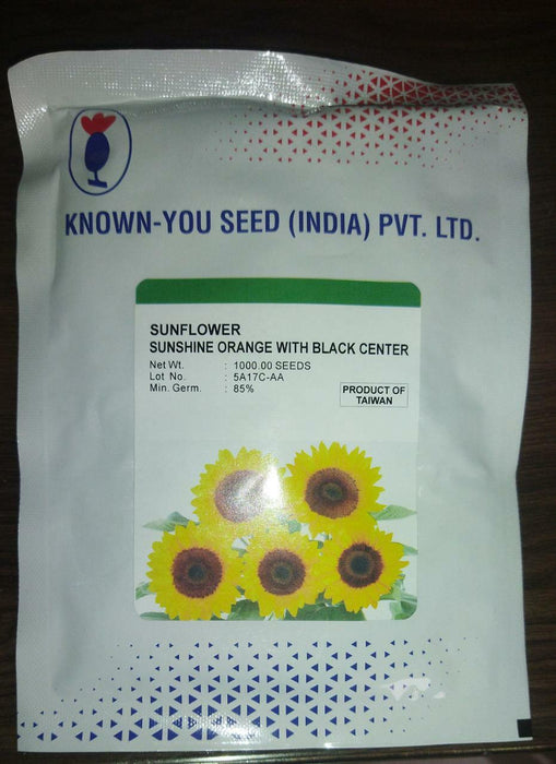 Ornamental Sunflower Sunshine F1 Hybrid (Known You Seeds, Taiwan) - Farmers Stop