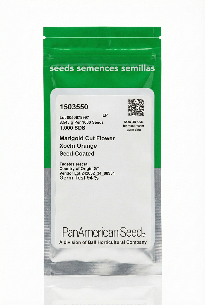 Marigold Xochi™ Orange – Professional Cut Flower Seeds (PanAmerican)