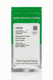 Marigold Xochi™ Orange – Professional Cut Flower Seeds (PanAmerican)