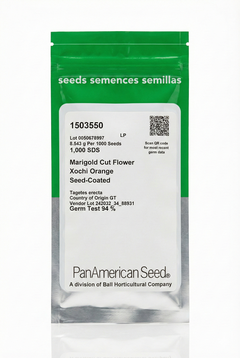 xochi marigold seeds Marigold Xochi Orange Seeds | Professional Cut Flower | 1000 Count | Tagetes erecta