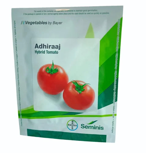 Adhiraaj F1 HYBRID Tomato (Seminis) - Farmers Stop