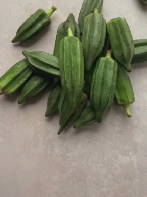 African Okra Seeds – Thumb Size Nigerian Variety (Garden Festival)