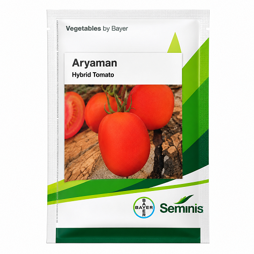 Seminis Aryaman Tomato Seeds Bayer hybrid tomato seeds pack