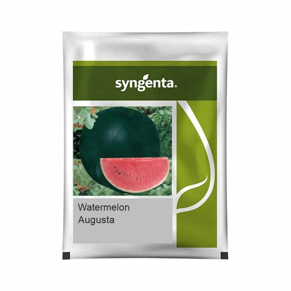 Augasta F1 Hybrid Watermelon (Syngenta) - Farmers Stop