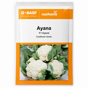 BASF Nunhems Ayana F1 Hybrid Cauliflower Seeds Packet