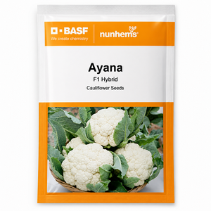 BASF Nunhems Ayana F1 Hybrid Cauliflower Seeds Packet
