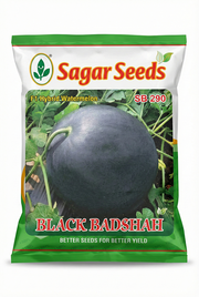 Black Badshah Hybrid Round Watermelon (Sagar Seeds)