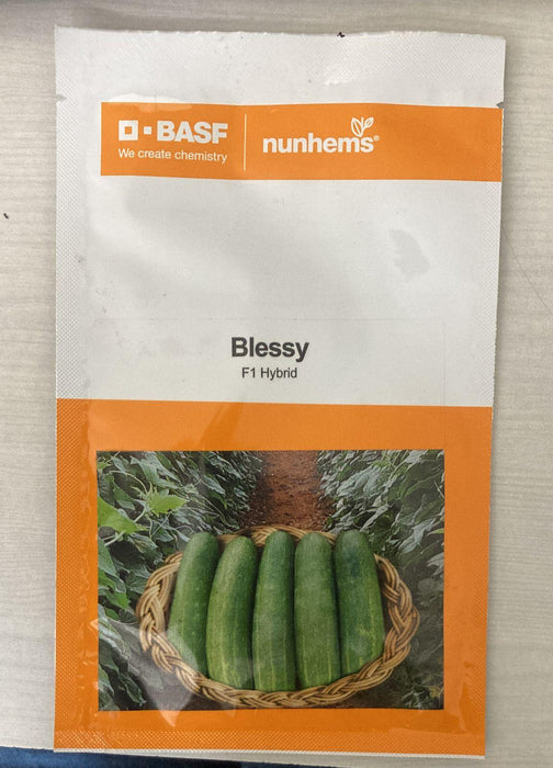 Blessy F1 Hybrid Cucumber (BASF | Nunhems)