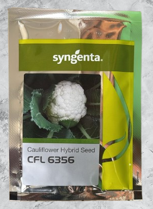 CFL 6356 F1 Hybrid Cauliflower (Syngenta)