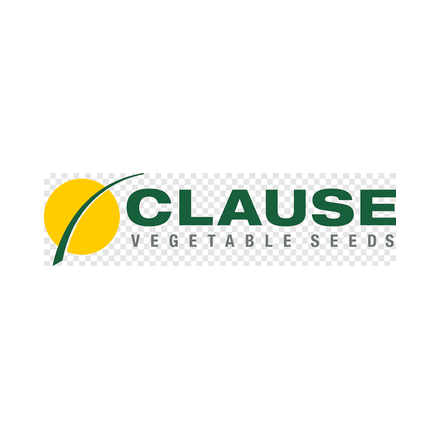 Clause Seeds