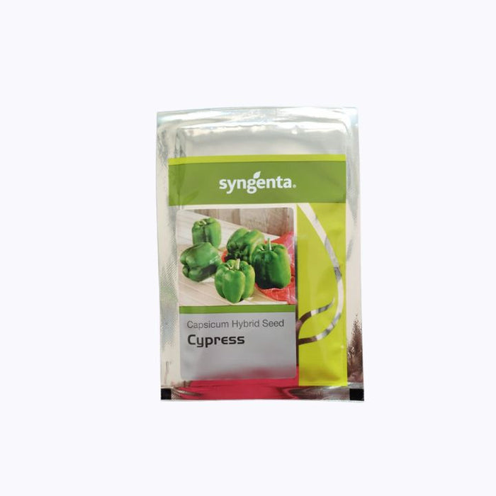 Cypress F1 Hybrid Capsicum (Syngenta)