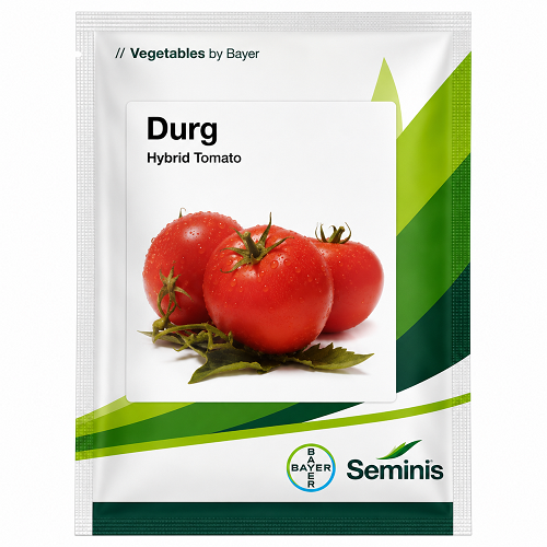 Seminis Durg Tomato Seeds Bayer tomato seeds pack