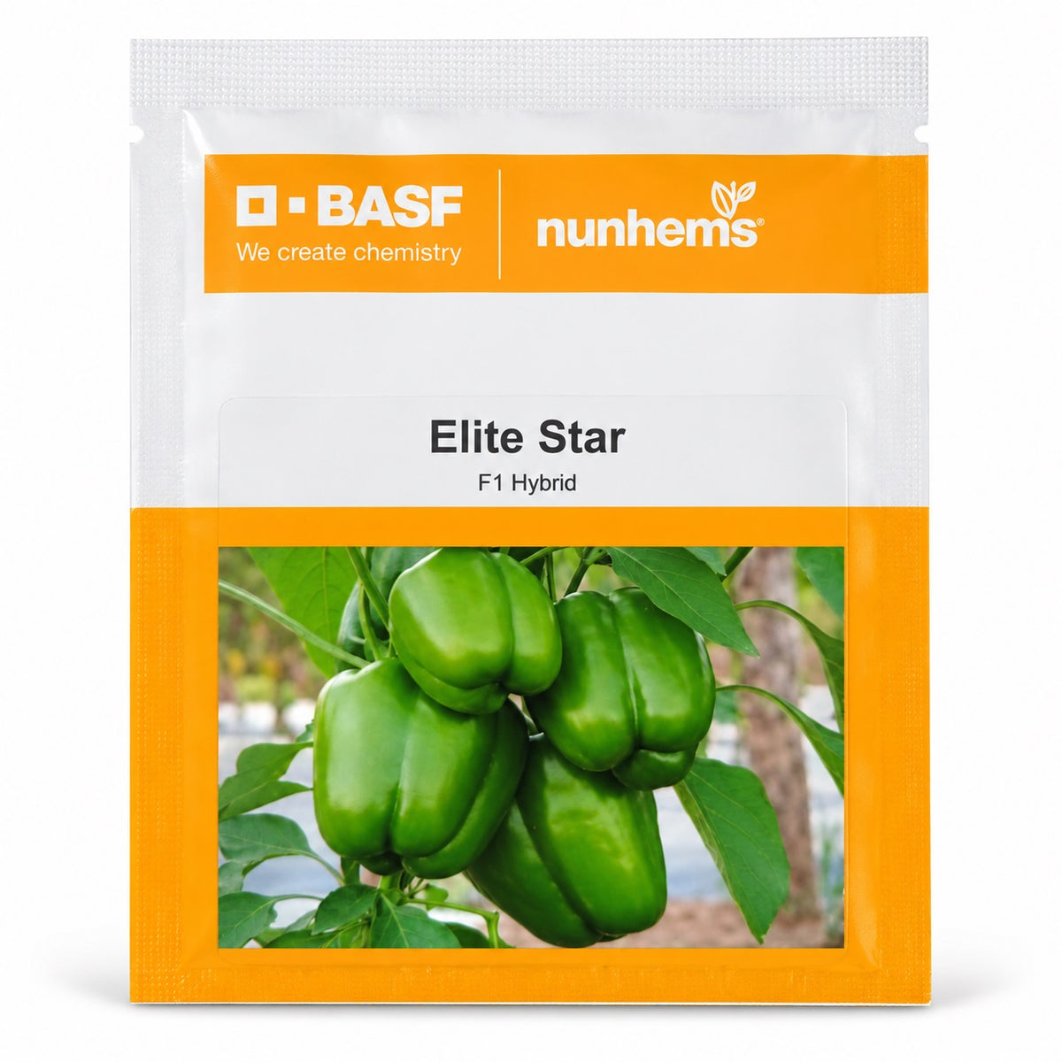 Elite Star F1 Hybrid Capsicum (Nunhems)