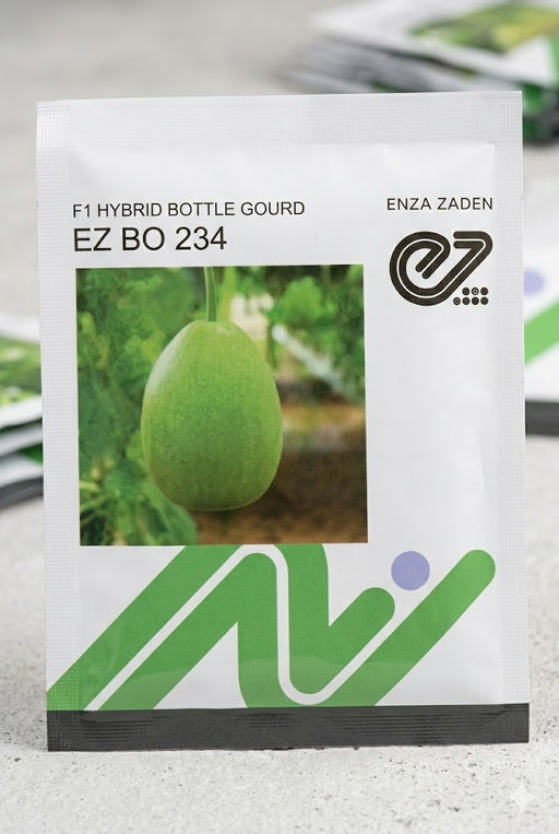 EZ BO 234 F1 Hybrid Round Bottle Gourd Seeds (Enza Zaden)
