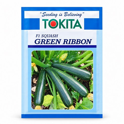 Green Ribbon F1 Zucchini (Tokita Seeds)