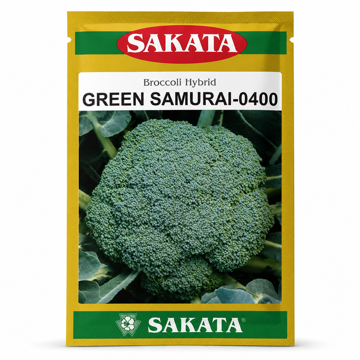 Green samurai sakata broccoli