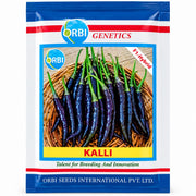 Kalli F1 Hybrid Chilli Seeds (Orbi International)