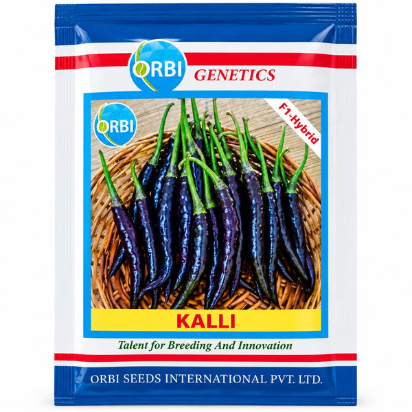 Kalli F1 Hybrid Chilli Seeds (Orbi International)