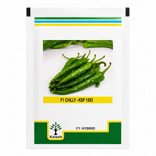 KSP-1593 F1 Hybrid Chilli Seeds (KALASH SEEDS)