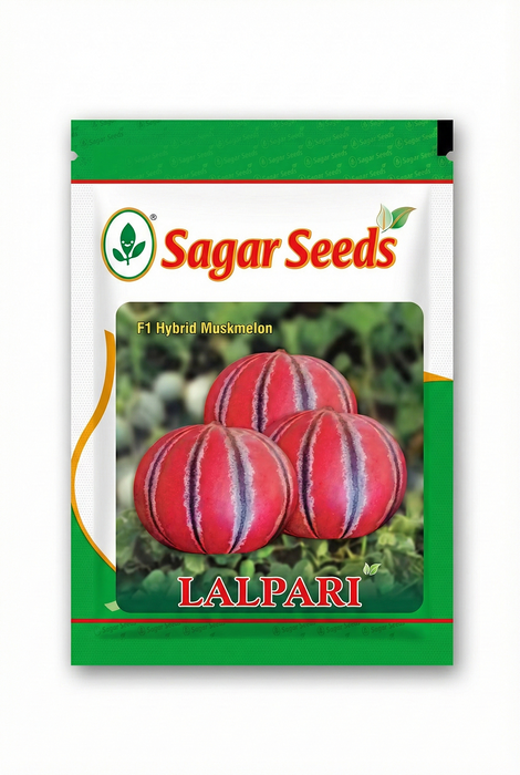 LALPARI F1 Kajari Type Muskmelon (Sagar Seeds)