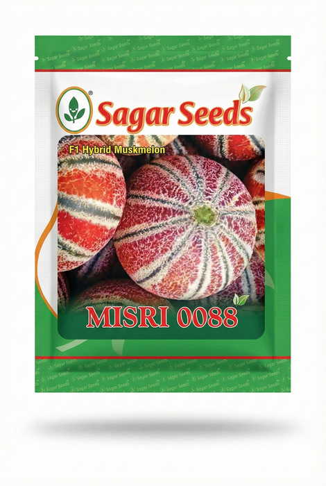 Mishri 0088 F1 Muskmelon (Sagar Seeds)