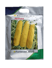 Mithas F1 Sweet Corn (Nongwoo) - Farmers Stop