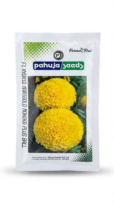 Monika Plus F1 Hybrid Yellow Marigold (Pahuja Seeds)