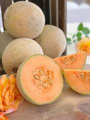 Super Crispy Hybrid Muskmelon (Garden Festival)