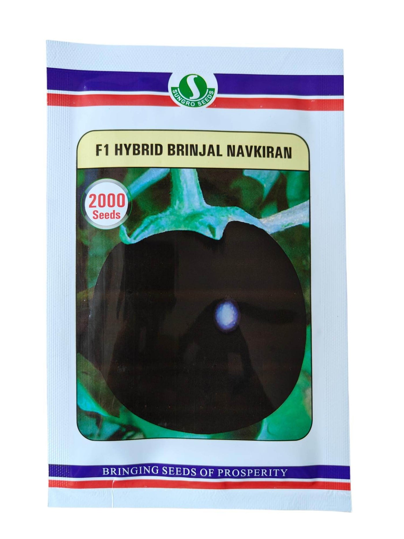 NAVKIRAN F1 HYBRID BRINJAL (SUNGROW SEEDS) - Farmers Stop