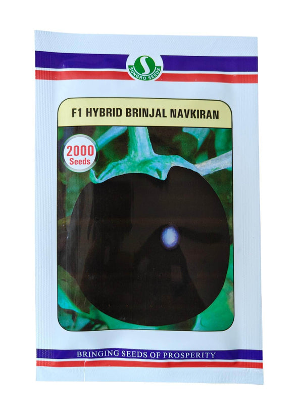 NAVKIRAN F1 HYBRID BRINJAL (SUNGROW SEEDS) - Farmers Stop