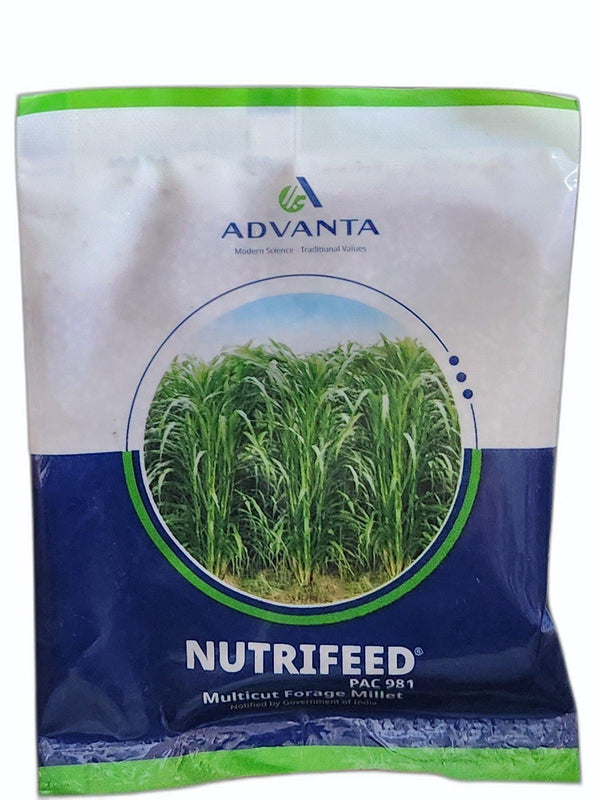 Nutrifeed Green and Hay Fodder (Advanta)