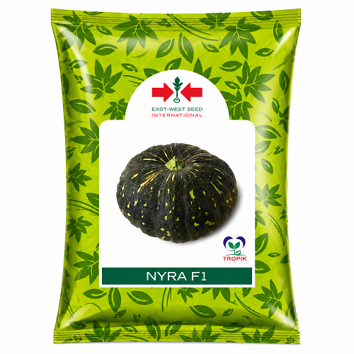 Nyra F1 Hybrid Pumpkin (East West Seeds)
