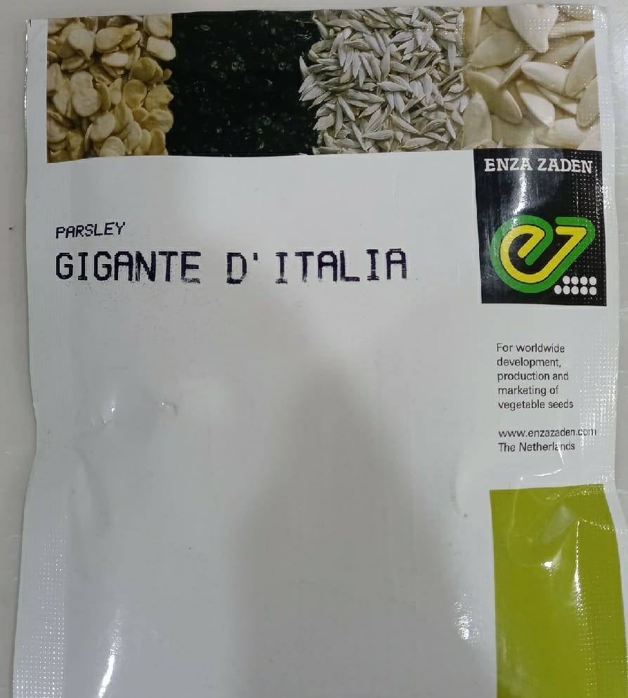 Gigante D' Italia Parsley- Flat (ENZA ZADEN) - Farmers Stop