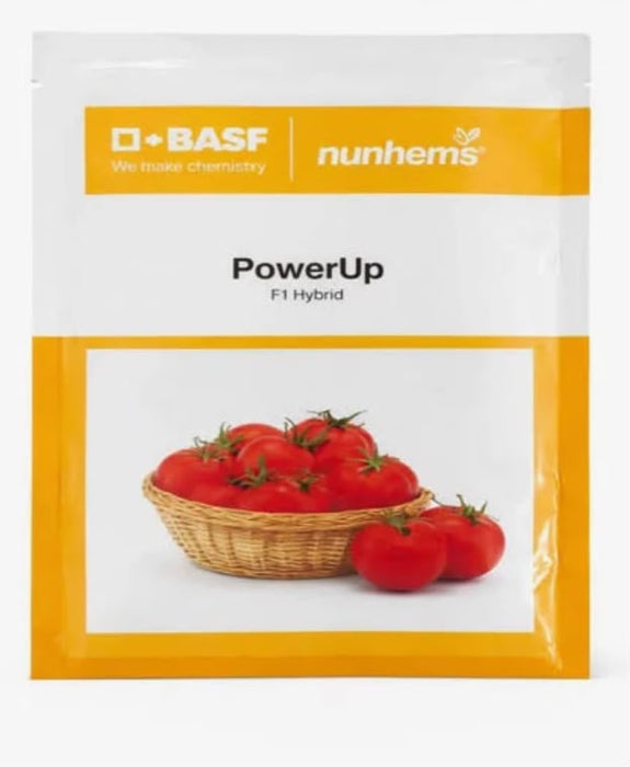PowerUp F1 Hybris Tomato (BASF | Nunhems)