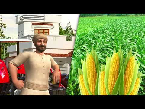 Herbicides