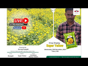 Super Yellow F1 Hybrid Marigold (East West Seeds)