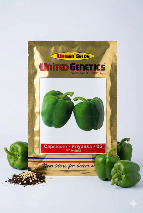 Priyanka -05 F1 Hybrid Capsicum (United Genetics)
